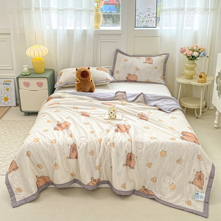 顺顺家纺 2025新款凉感丝印花夏被空调被 卡皮巴拉