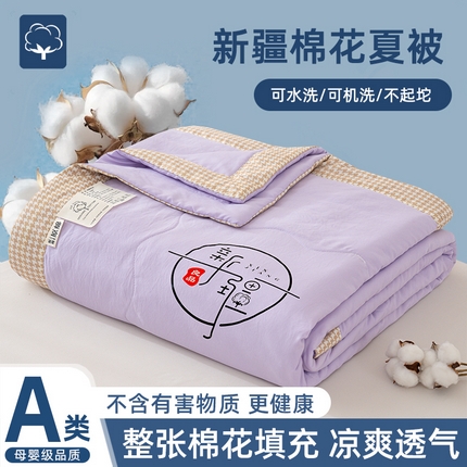 芯恋 2025年新款无印风千鸟格水洗棉新疆棉花夏被 罗兰紫