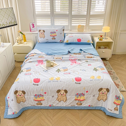 思雅庭 2025新款里外全棉夏被新疆棉花夏凉被空调被 生日派对