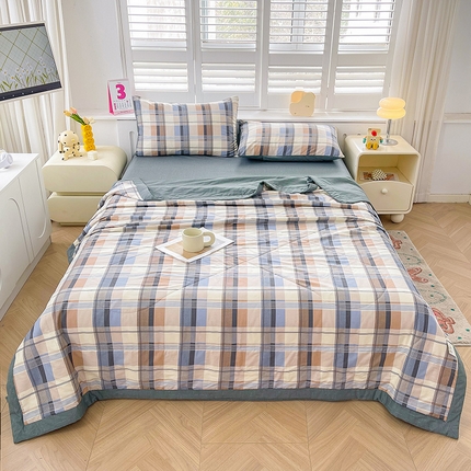 思雅庭 2025新款里外全棉夏被新疆棉花夏凉被空调被 城市剪影