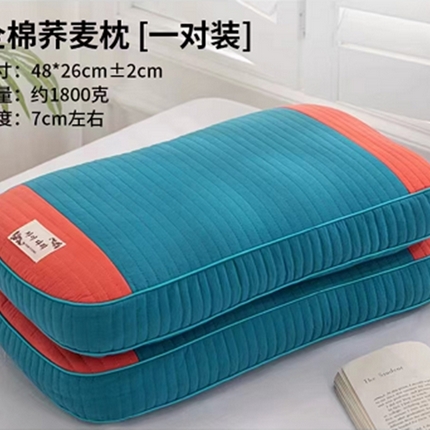 91家纺网 家纺一手货源 找家纺 云熙2025新款全棉纯棉纯荞麦枕枕头枕芯 蓝加橙