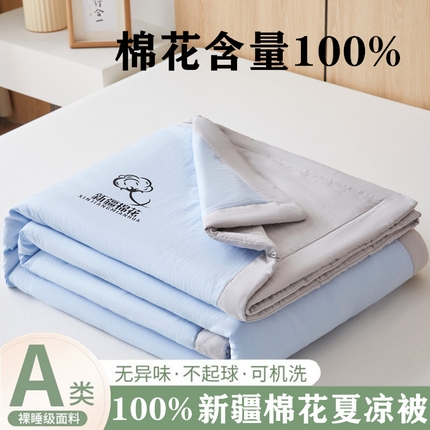 爱屋及屋 2025新款纯色撞色100%棉花填充夏被夏凉被空调被夏季可机洗薄被子被芯 浅灰+天蓝