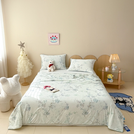 91家纺网 家纺一手货源 找家纺 （总）CINNY馨宜 2025新款凉感丝夏被A类小冰皮凉感锦氨卡通印花夏凉被