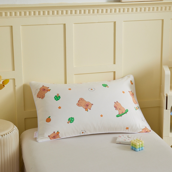 91家纺网 家纺一手货源 找家纺 ds生活馆 2025新款儿童学生纯棉精梳棉系列单夏被 滑板巴拉