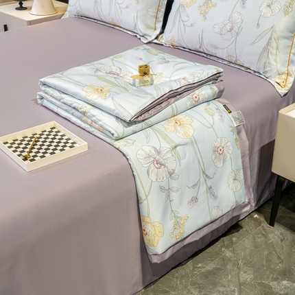 91家纺网 家纺一手货源 找家纺 （总）归属2025新款水洗真丝夏被四件套空调被夏凉被