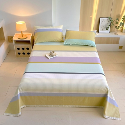 91家纺网 家纺一手货源 找家纺 （总）春皖家纺 2025新款A类全棉简约老粗纱布四件套风格一-普通款单床单