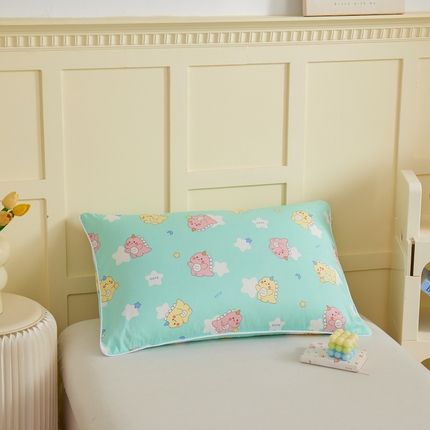 91家纺网 家纺一手货源 找家纺 （总）ds生活馆 2025新款儿童纯棉精梳棉系列单枕套