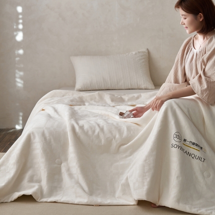 91家纺网 家纺一手货源 找家纺 （总）A+爱家 新款夏被春秋被冬被被芯包装