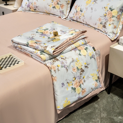 归属2025新款水洗真丝夏被四件套空调被夏凉被 雅韵