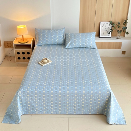 91家纺网 家纺一手货源 找家纺 （总）春皖家纺 2025新款A类全棉简约老粗纱布四件套风格一-普通款单床单