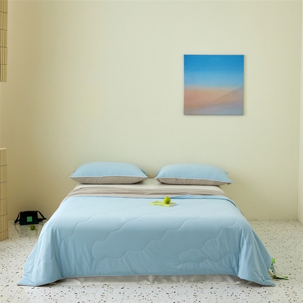 91家纺网 家纺一手货源 找家纺 （总）头等舱  2025新款锦氨凉感A类20大豆7A抗菌纯色空调被夏凉被夏被（配礼盒）