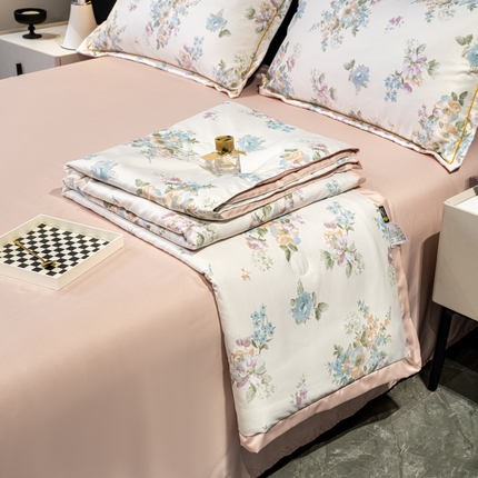 归属2025新款水洗真丝夏被四件套空调被夏凉被 昔梦