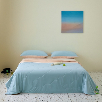 91家纺网 家纺一手货源 找家纺 （总）头等舱  2025新款锦氨凉感A类20大豆7A抗菌纯色空调被夏凉被夏被（配礼盒）