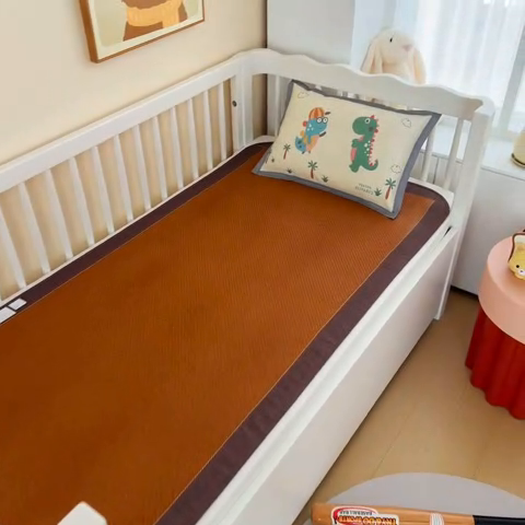 91家纺网 家纺一手货源 找家纺 梵赫 2025新款冰丝古藤双面卡通儿童凉席凉席-热带恐龙