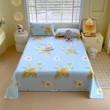 91家纺网 家纺一手货源 找家纺 （总）春皖家纺 2025新款A类全棉简约老粗纱布四件套风格一-普通款单床单