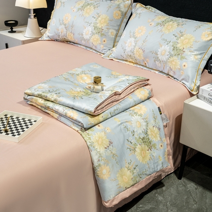 91家纺网 家纺一手货源 找家纺 （总）归属2025新款水洗真丝夏被四件套空调被夏凉被