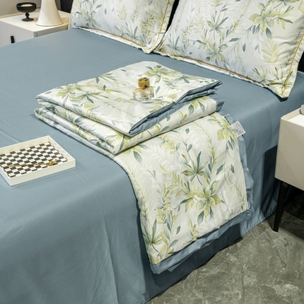 归属2025新款水洗真丝夏被四件套空调被夏凉被 森屿