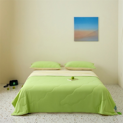 91家纺网 家纺一手货源 找家纺 （总）头等舱  2025新款锦氨凉感A类20大豆7A抗菌纯色空调被夏凉被夏被（配礼盒）