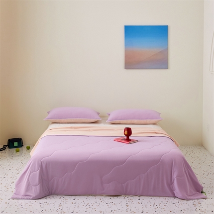 91家纺网 家纺一手货源 找家纺 （总）头等舱  2025新款锦氨凉感A类20大豆7A抗菌纯色空调被夏凉被夏被（配礼盒）