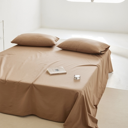 2025新款A类40S全棉糯感大雁纹提花单品床单 浅咖