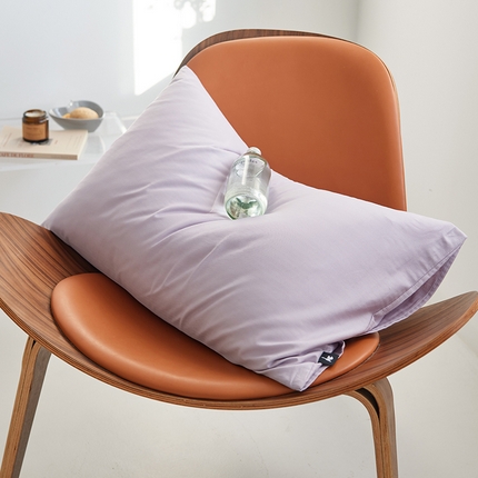 91家纺网 家纺一手货源 找家纺 （总）风向标家纺 2025新款A类40S全棉糯感大雁纹提花单品枕套