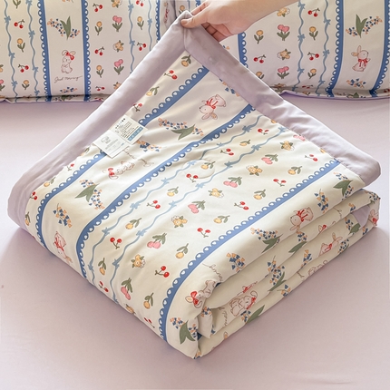 宝士康家纺 2025新款水洗棉超声波压花夏被 被子被芯 甜心花园
