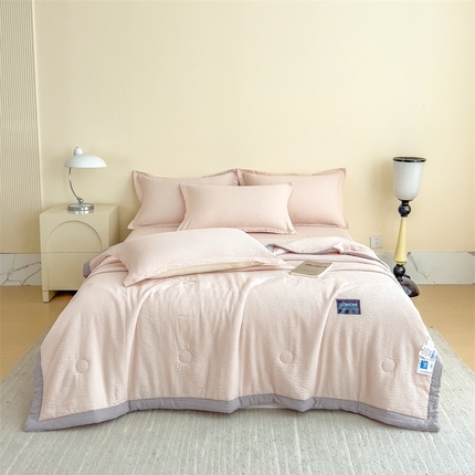 （总）宝士康家纺 2025新款10A抗菌泡泡棉大豆夏被 被子被芯