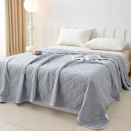 眠多宝 2025新款冰激凌凉感丝纯色夏被被子被芯（跨境电商） 银灰色