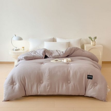 宝士康家纺 2025新款加厚泡泡棉大豆冬被子被芯 幻梦银灰