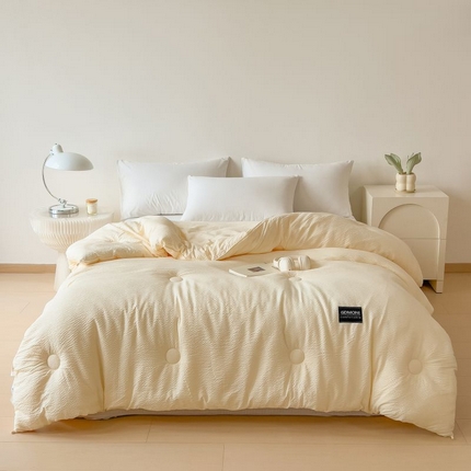 （总）宝士康家纺 2025新款加厚泡泡棉大豆冬被子被芯