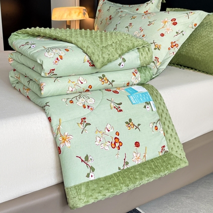 宝士康家纺 2025新款10A抗菌双层纱豆豆绒夏被 雅韵