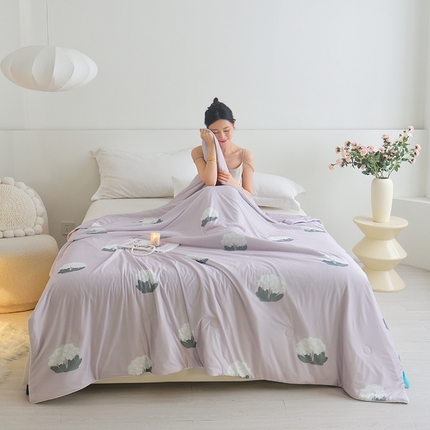 梦恬佳 2025新款印花凉感丝夏凉被 观夏