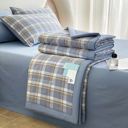 宝士康家纺 2025新款10A抗菌无印风夏被 被子被芯 天蓝中格