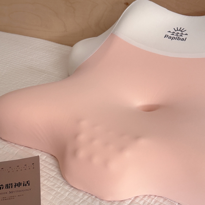 91家纺网 家纺一手货源 找家纺 （总）伟邦枕芯 2025新款躺倒多功能记忆枕头枕芯