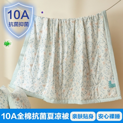 宝士康家纺 2025新款10A抗菌全棉夏被四件套（床笠款） 沁心田园