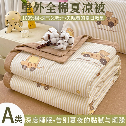 91家纺网 家纺一手货源 找家纺 （总）思雅庭 2025新款里外全棉夏被新疆棉花夏凉被空调被