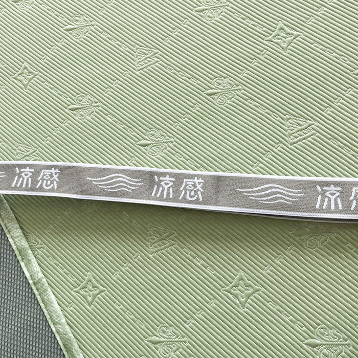 91家纺网 家纺一手货源 找家纺 鑫琪莱  2025新款5D立体雕花凉感豆豆冰丝床裙三件套 床裙H款-绿