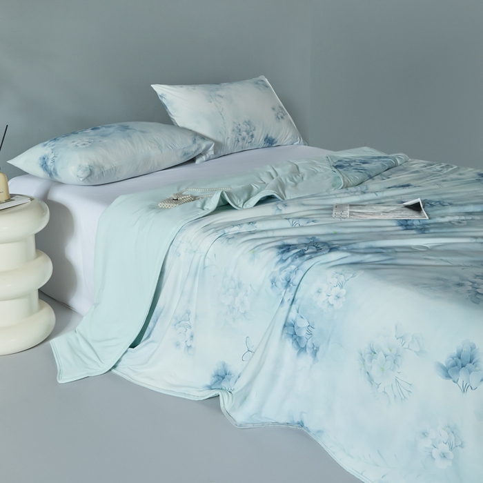 91家纺网 家纺一手货源 找家纺 2025春夏新款100%双面锦纶美式印花夏被凉感空调被 兰亭序