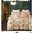91家纺网 家纺一手货源 找家纺 （总）未来家居 JAMES KELLY （铂金凯丽）2025新款40支13376全棉印染铂金四件套