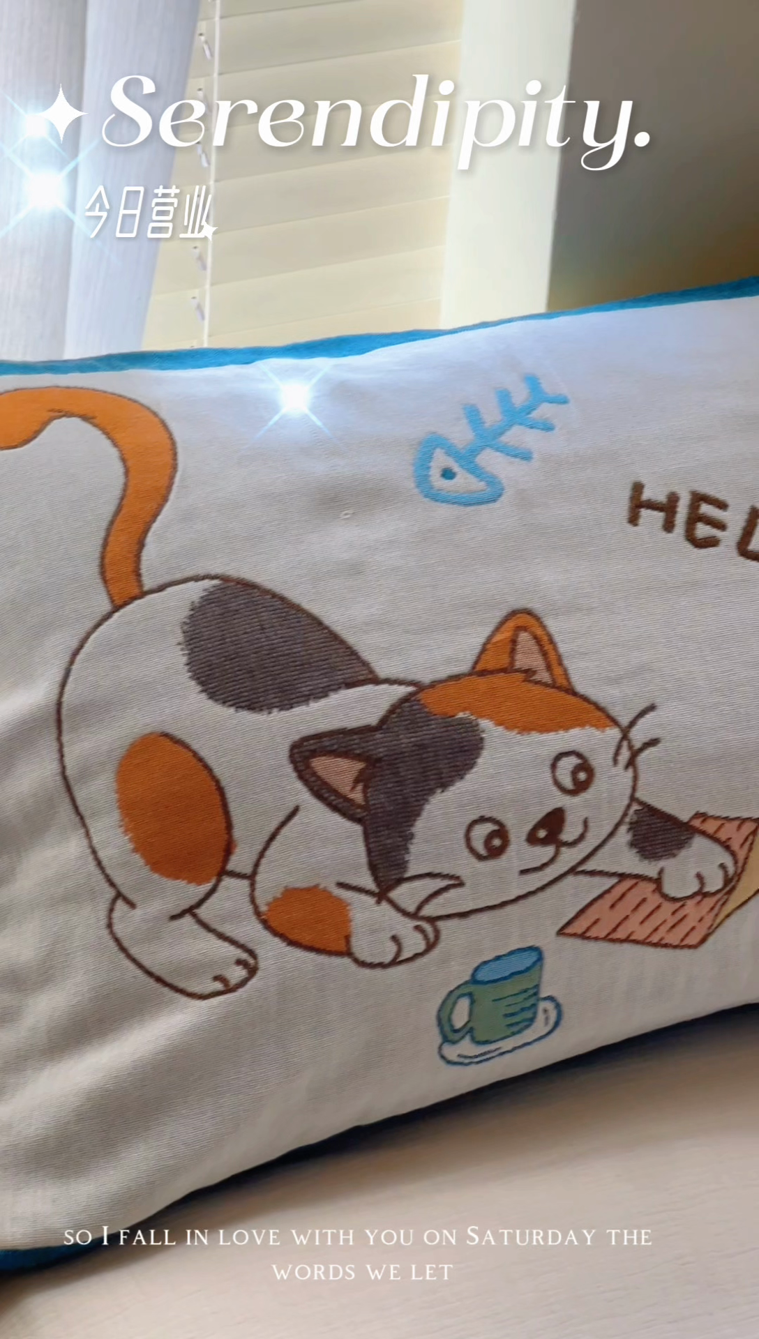 91家纺网 家纺一手货源 找家纺 雯雨2025新款A类卡通双人纱布枕套 慕斯猫