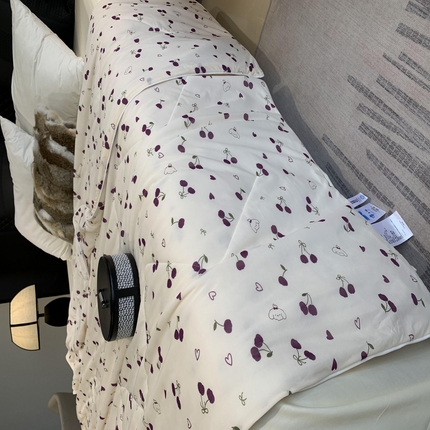 91家纺网 家纺一手货源 找家纺 2025新款小冰皮夏凉被锦纶氨纶面料空调夏被凉感丝单夏被空调被 车厘子