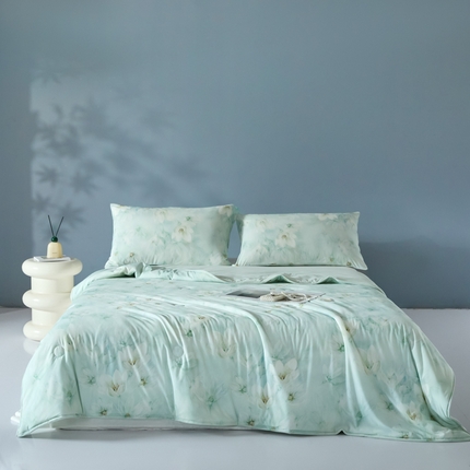 2025春夏新款100%双面锦纶美式印花夏被凉感空调被 绿野仙踪