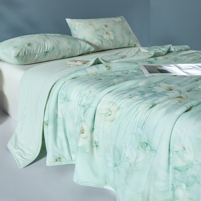 91家纺网 家纺一手货源 找家纺 2025春夏新款100%双面锦纶美式印花夏被凉感空调被 绿野仙踪