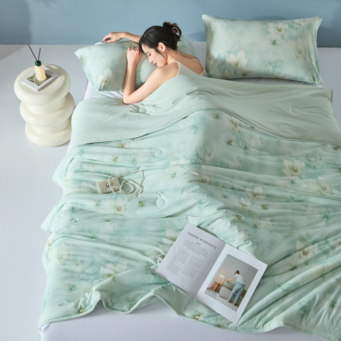 91家纺网 家纺一手货源 找家纺 2025春夏新款100%双面锦纶美式印花夏被凉感空调被 绿野仙踪