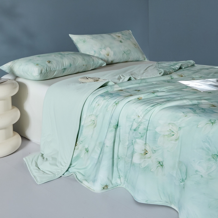 91家纺网 家纺一手货源 找家纺 2025春夏新款100%双面锦纶美式印花夏被凉感空调被 绿野仙踪