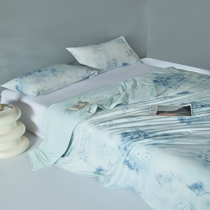 91家纺网 家纺一手货源 找家纺 2025春夏新款100%双面锦纶美式印花夏被凉感空调被 兰亭序