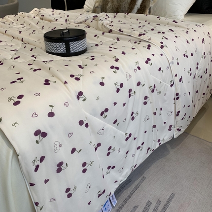 2025新款小冰皮夏凉被锦纶氨纶面料空调夏被凉感丝单夏被空调被 车厘子