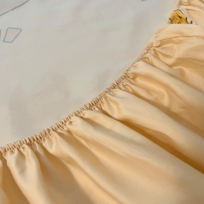 91家纺网 家纺一手货源 找家纺 浩诚2025新款卡皮巴拉原创IP全棉大版单床笠单枕套-有作品登记证书 幸运巴拉