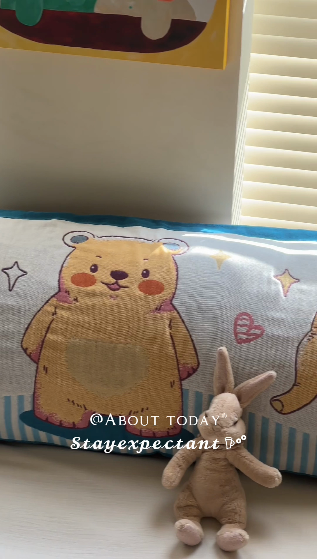 91家纺网 家纺一手货源 找家纺 （总）雯雨2025新款A类卡通双人纱布枕套