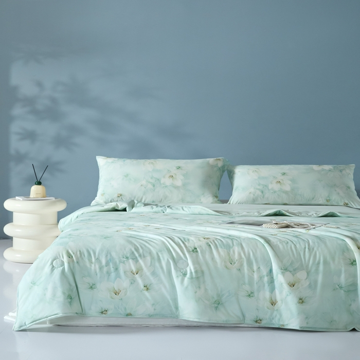 91家纺网 家纺一手货源 找家纺 2025春夏新款100%双面锦纶美式印花夏被凉感空调被 绿野仙踪